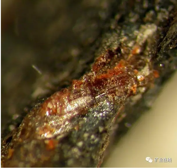 c5828a451eb80edca5ff48da347aa6c7.png 4.png